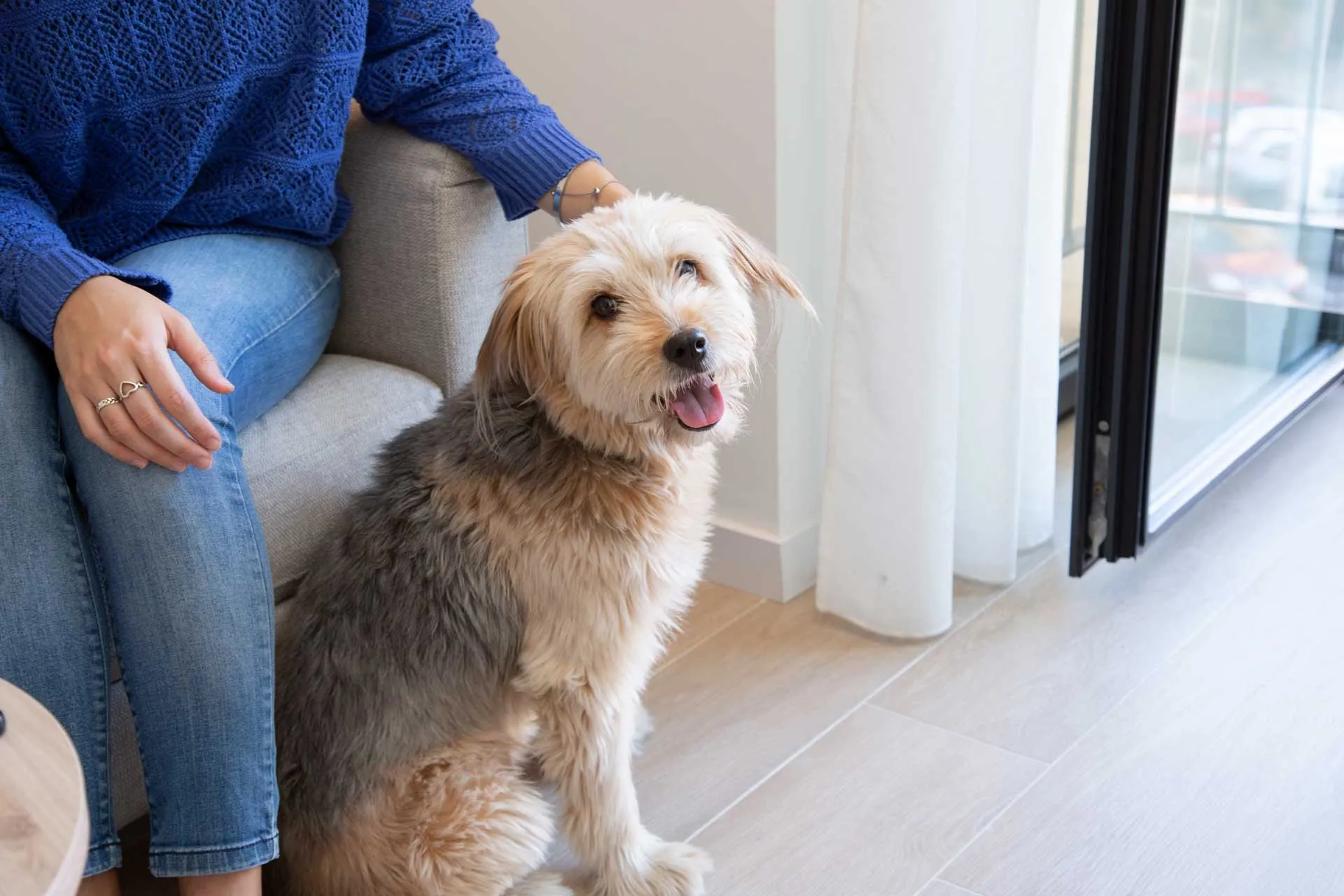 Pet-friendly-DLS